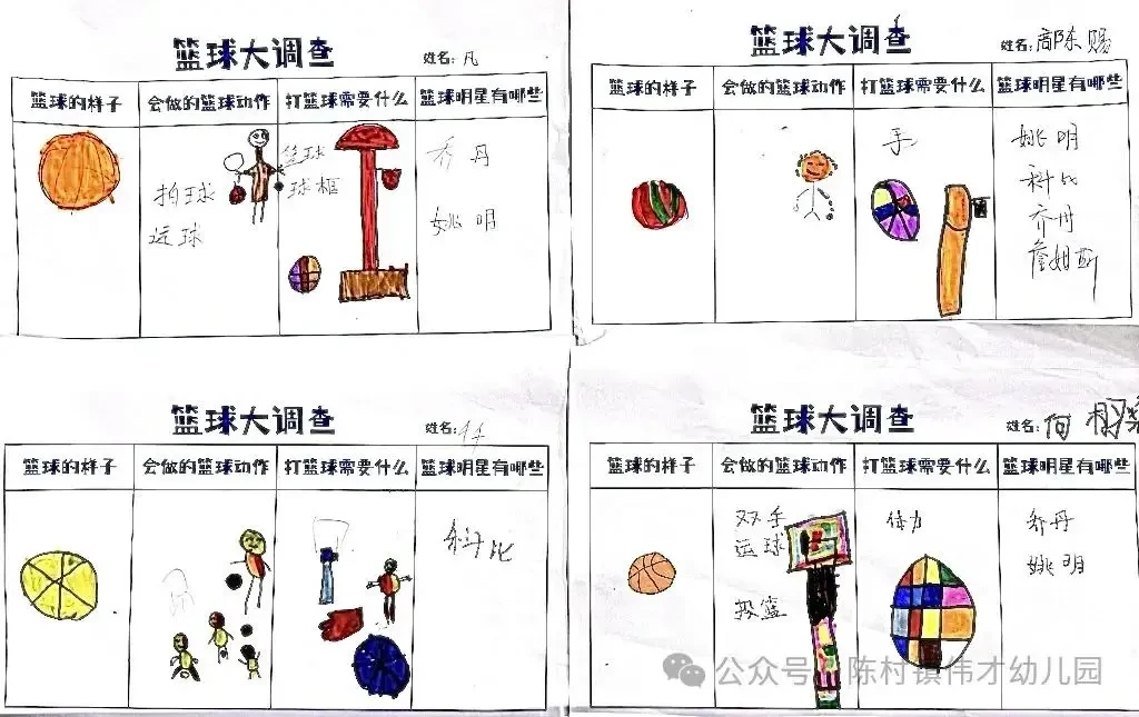 如何设计一个全面的篮球训练支持系统?